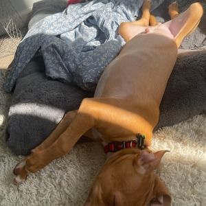 Meet your Posher, Jonathan